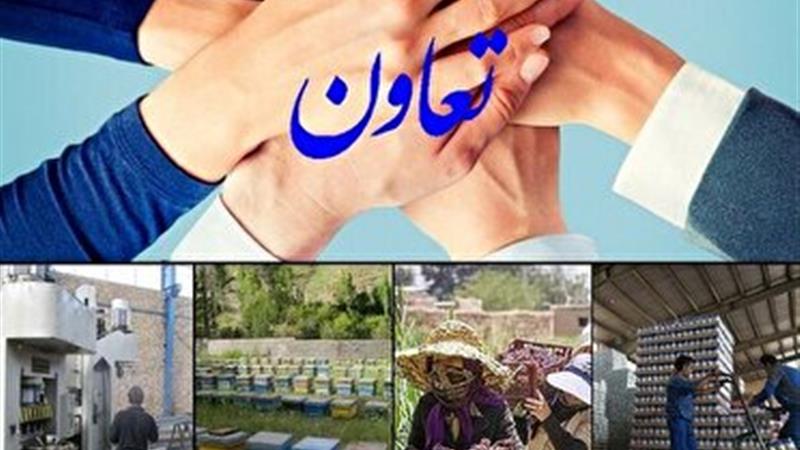 وجود بیش از ۳ هزار تعاونی غیرفعال در استان یزد