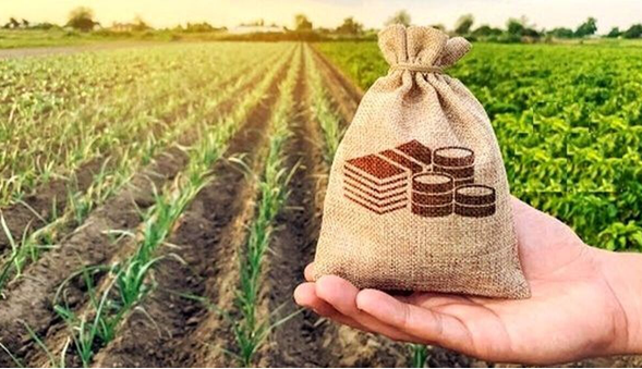 پرداخت وام ۵۰۰ میلیون ریالی به بیمه شدگان روستایی