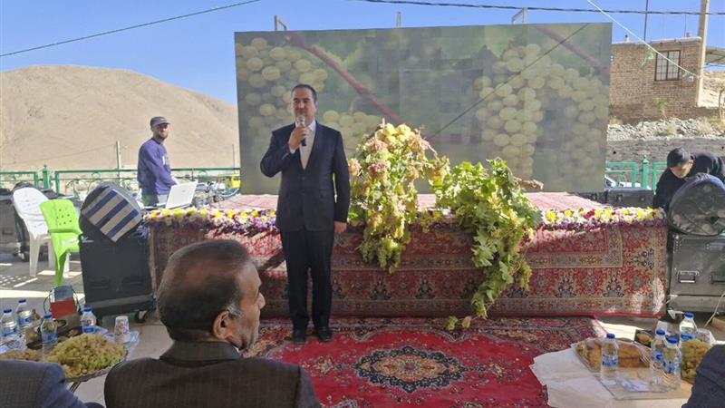 خام فروشی انگور انتظار اقتصادی این محصول را برآورده نمیکند