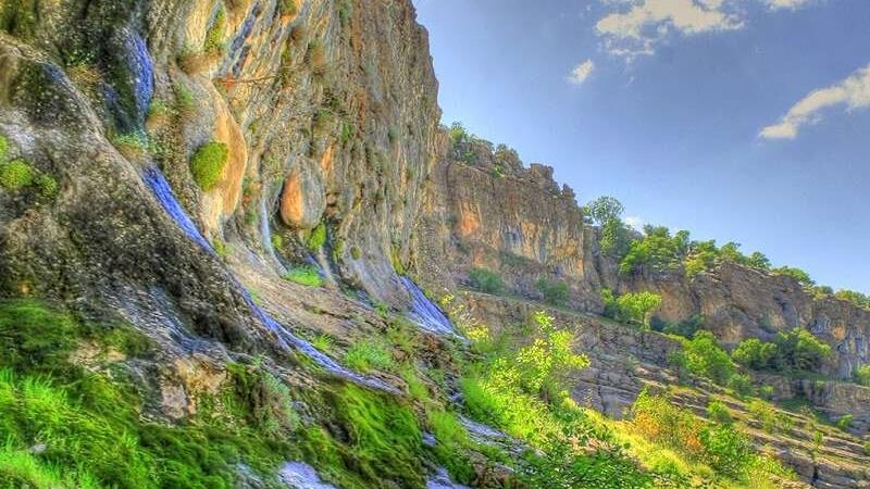 کبیرکوه، الگوی موفقی در احیای تنوع زیستی مناطق کوهستانی است