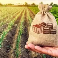 پرداخت وام ۵۰۰ میلیون ریالی به بیمه شدگان روستایی