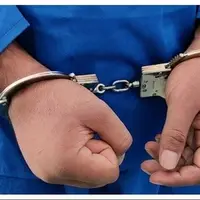 دستگیری ۳۴ سارق و ۲۱ مخل نظم و امنیت در دزفول