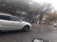 فیلم/ بارش شدید باران در نقده