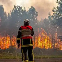 جزئیات آتش‌سوزی در جنگل‌های سپیدبرگ جوانرود