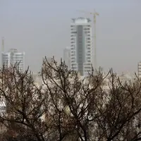مشهد همچنان ایستاده در غبار؛ کیفیت هوا ناسالم است