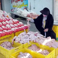 مرغ در مشهد ارزان‌تر شد؛ کاهش قیمت تخم‌مرغ و قطعات مرغ