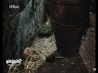 یوزارسیف به مرمت زندان پرداخت!
