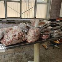 کشف ۱۸۱ تن فرآورده خام دامی غیربهداشتی در خراسان‌شمالی