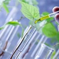 رییس انجمن بیوتکنولوژی: سند ملی زیست فناوری تدوین شد