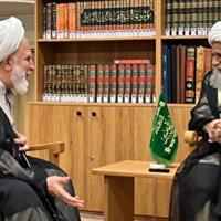 دیدار رئیس دفتر رهبر انقلاب در قم با آیت الله کریمی جهرمی