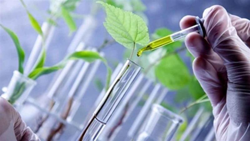 رییس انجمن بیوتکنولوژی: سند ملی زیست فناوری تدوین شد