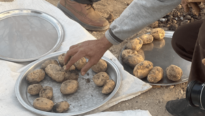 عکس/ کلوخپزان میراث زنده پاییز در اقلید