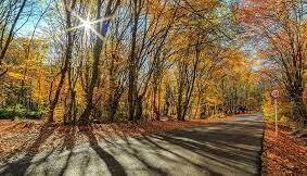 هوای بهاری در پاییز مازندران