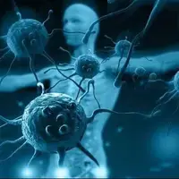 بهترین غذاهایی که برای تقویت سیستم ایمنی بدن مفید است