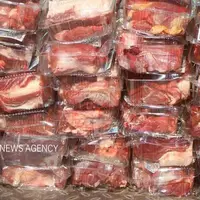 توزیع گوشت گوسفندی منجمد تنظیم‌بازار در کرمانشاه آغاز شد + قیمت