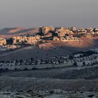 محکومیت تصویب طرح الحاق کرانه باختری در کنست از سوی برخی از کشورهای عربی