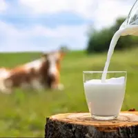 هر رده سنی روزانه چقدر باید شیر مصرف کند؟