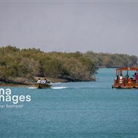 مقاومت برابر صدور مجوزهای خارج از ضوابط/آغاز تدوین قانون حفاظت از محیط‌زیست دریا