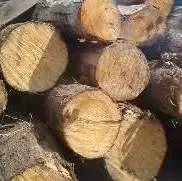 کشف ۱۲ تُن چوب قاچاق در سنقروکلیایی