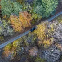 پاییز در بهار مازندران؛ آفتاب جای باران را گرفت