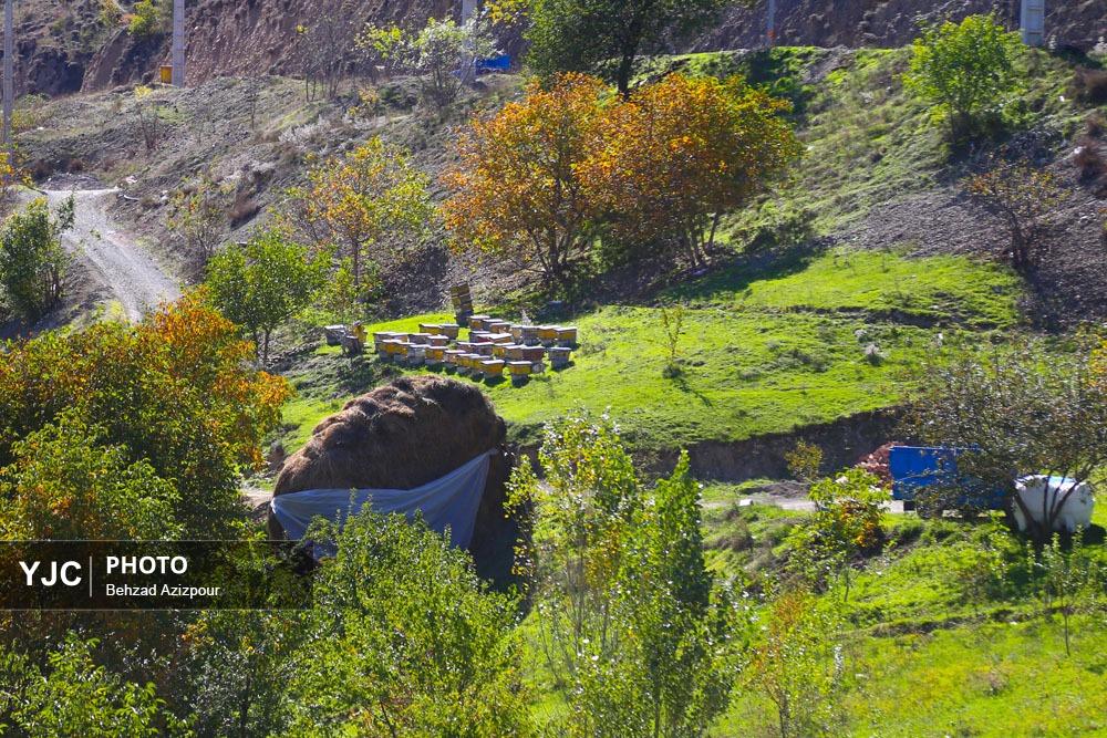 ساخت وساز؛ مانع ثبت جهانی ارسباران