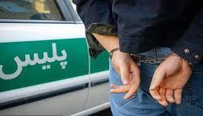 زمینگیر شدن اراذل و اوباش مسلح با شلیک پلیس