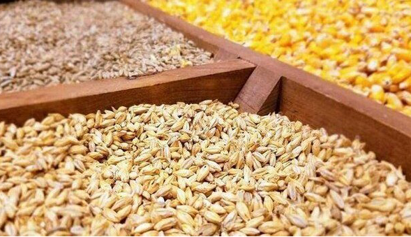 مشکل نهادههای دامی با اختصاص ارز برطرف میشود