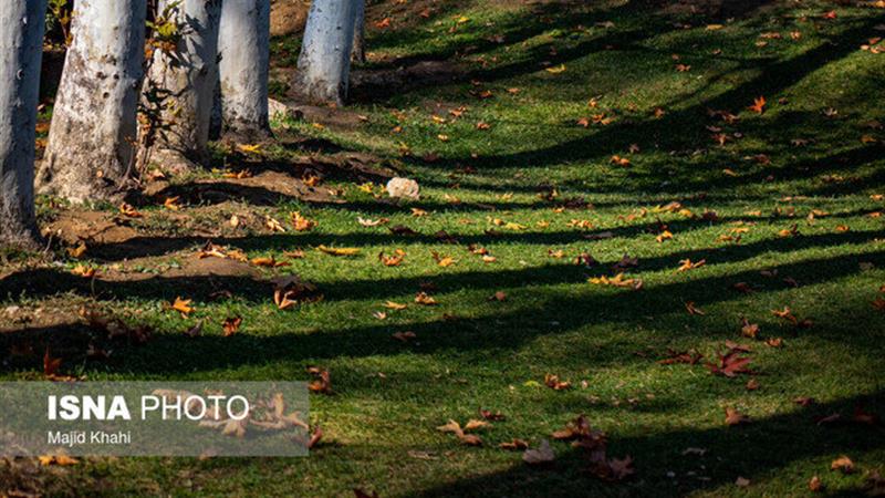 پیشبینی آسمانی صاف تا قسمتی ابری برای زنجان