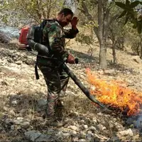 آتش‌سوزی ذخیره‌گاه گل‌سفید چهارمحال و بختیاری مهار شد