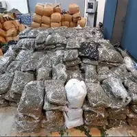 کشف ۵۱ کیلوگرم مواد مخدر شیشه در مرز تایباد