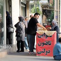 برنامه‌ای برای افزایش قیمت نان نداریم/ عرضه روزی بیش از ۱۶۰۰ تن مرغ در پایتخت