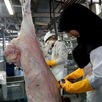 تولید گوشت قرمز در خراسان‌شمالی ۱۴.۳ درصد افزایش یافت