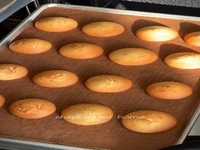 کلوچه پرتقالی؛ یک عصرانه دلپذیر پاییزی