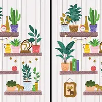 باورتون میشه این دو تا تصویر فرق دارن؟ 