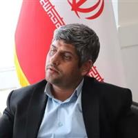 توسعه زنجیره تولید گیاهان دارویی در خراسان جنوبی ضرورت دارد