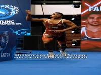 ۲ فرنگی‌کار ایرانی که نگاه جهانی را به خود جلب کردند