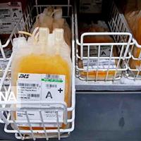 اهدای خون و پلاسما داوطلبانه است/ایجاد شبهه در اهدا؛ لطمه به اعتماد عمومی