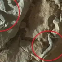 ادعای عجیب یک دانشمند درباره وجود موجودات زنده در مریخ