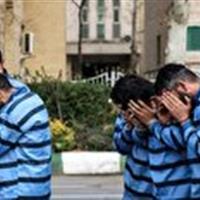 سارقان بلوار پاکنژاد و خیابان انقلاب اعتراف کردند