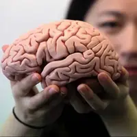 با این چهار روش مغز را تقویت کنید