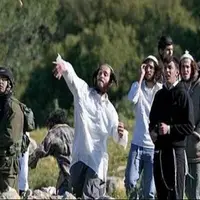صهیونیستها از گازهای سمی علیه ساکنان کرانه باختری استفاده کردند