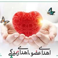 هجدهمین اهدای عضو سال جاری در یزد رقم خورد