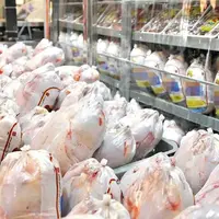 واردات گوشت مرغ از اوراسیا مجاز شد