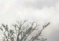 ماجرای انفجار مهیب در منطقه شکار ممنوع سوادکوه چه بود؟