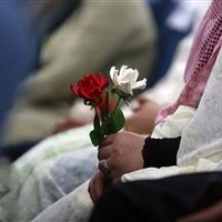 ۳۲۱۰ واقعه ازدواج در استان زنجان ثبت شد