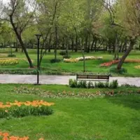 بحران در فضای سبز اصفهان؛ کمبود سالانه 40 میلیون مترمکعب آب