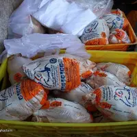 بازار مرغ در تب و تاب گرانی