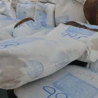 کشف ۱۰۳ کیلو تریاک در یکی از محلههای کرمان