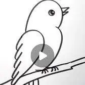 ایندفعه پرنده رو متفاوت نقاشی بکش
