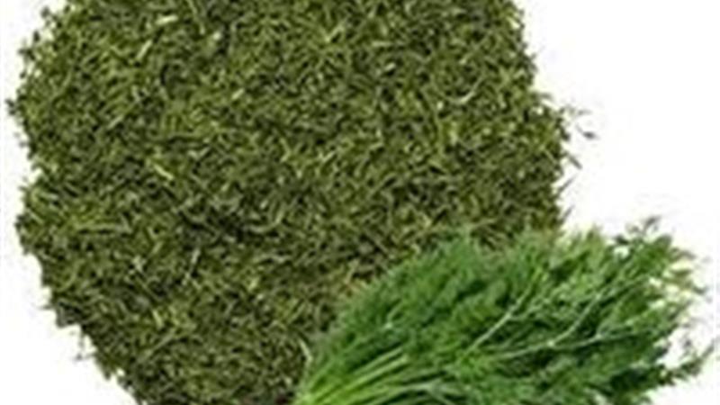 فرآوری ۵۰ درصد از سبزیجات تولیدی طبس
